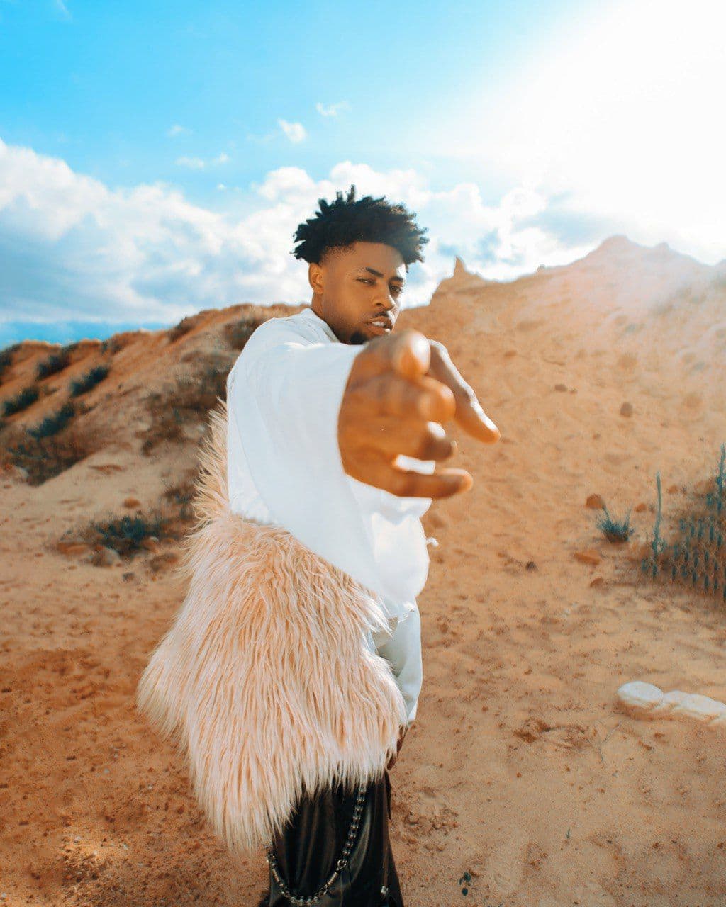 Afro-Pop Artiste Dinycee Unveils His Debut EP ‘ARK’